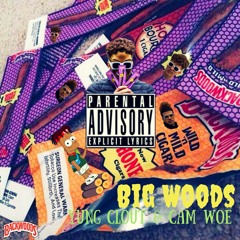 Big Woods (feat.)- Cam Woe
