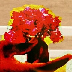 She's given the club by KYD