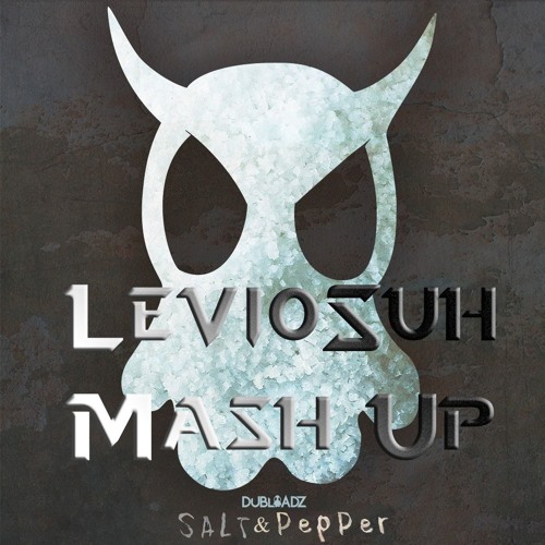 Dubloadz - Salt & Pepper [LevioSuh Mash Up]
