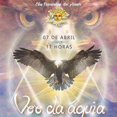 13 A  Força Da Águia