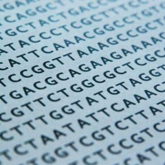 RICKY CHAN - the biochem rap (Logic - Till The End Remix)