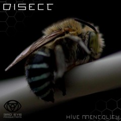 The Frequency Illusion (OUT NOW!)