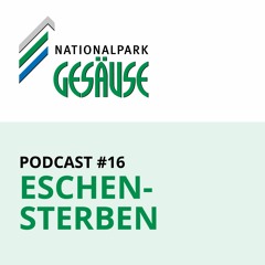Podcast #16 - Eschensterben