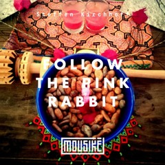 Mousikē 36 | "Follow the Pink Rabbit..." by Steffen Kirchhoff & Maywa