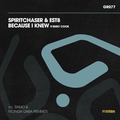 Spiritchaser & Est8 - Because I Knew Ft Emily Cook - Spiritchaser Radio Edit