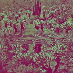 Two Crows (2016 Demo)