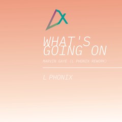 Whats Going On - Marvin Gaye (L Phonix rework)OUT NOW!!