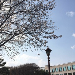 [bossa nova with piano]/ 좋을텐데 [Cherry_blossom]