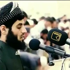 ‫ الشيخ رعد محمد الكردي‬