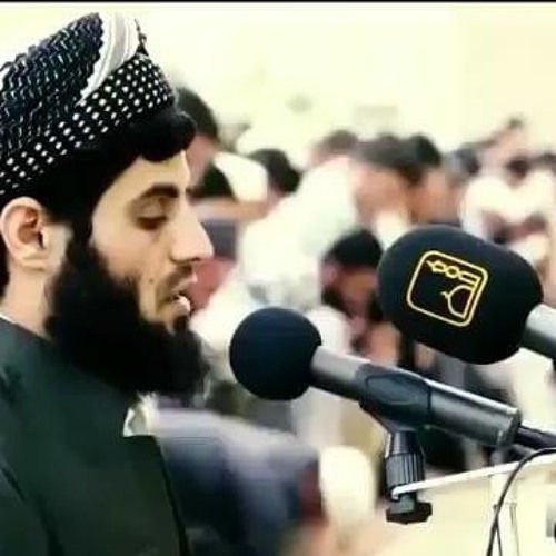 ‫ الشيخ رعد محمد الكردي‬