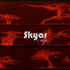 Skyar