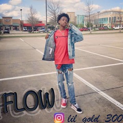 Flow-(Prod oNE KK & Iamtash) @lil_gold_300 (Music Video On Youtube)