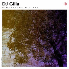 DIM120 - DJ Gilla