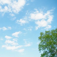 336時間 (short ver) / HakobuNe × 川和田遼