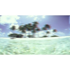 Wananga Charlene 🇵🇬