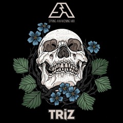 SPRING AWAKENING MIX