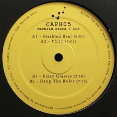 CAPH05 A1 DCP - Marbled Beat
