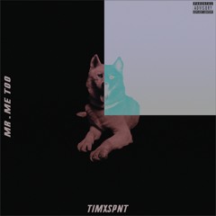 MR. ME TOO (1:25 am){prod. by TimxSpnt}