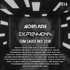 Expressions 014 (EDM Sauce Mix 2018)