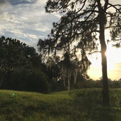 At Home in the Elements