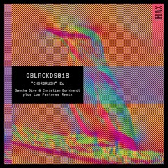 Sascha Dive & Christian Burkhardt - Craigser (Original Mix)