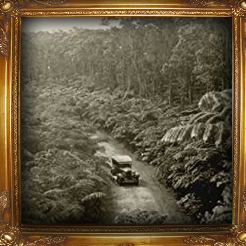 DRAGONFLY - ROAD TO ENVISION