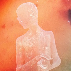 [PREMIERE] Ani Klang - Ornithological Piece (VA Grafts out Apr 19 @ xenonyms)