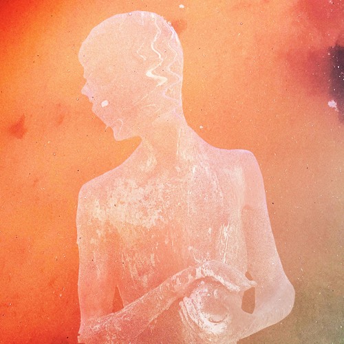 [PREMIERE] Ani Klang - Ornithological Piece (VA Grafts out Apr 19 @ xenonyms)