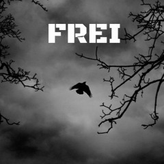 Frei (Aries - Mike Will Made It, Quavo, Pharell, Rae Sremmurd, Big Sean Remix)