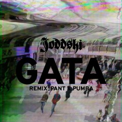 Gata (Sørmiks) med Pant og Pumba