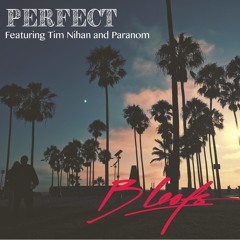 Perfect (feat. Tim Nihan and Paranom)