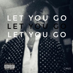 Let You Go