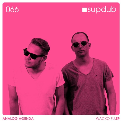 Analog Agenda - You Fu