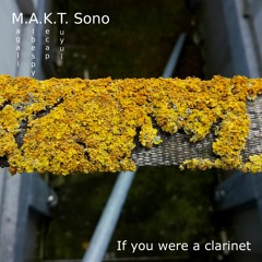 M.A.K.T. Sono - If You Were A Clarinet - 2 (sample)