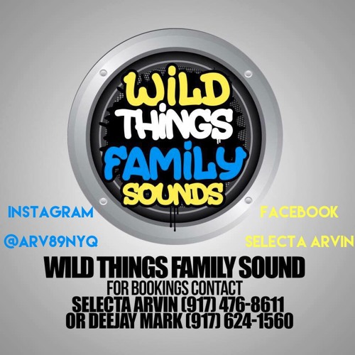 DEEJAY MARK SELECTOR FLAMES AND SELECTA ARVIN WILD THINGS FAMILY DELROY BDAY PARTY PART 2