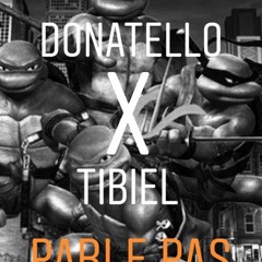 Donatello x Tibiel - Parle pas