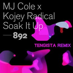 MJ Cole x Kojey Radical - Soak It Up (Denoiza Remix)