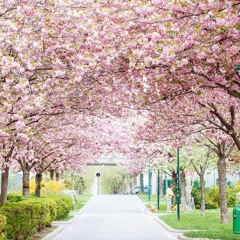 You Are So Beautiful