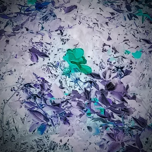 STATICCA & ALIEN$UICIDE - Solace