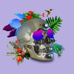 Pussy Pop (feat. SkrillBøy)