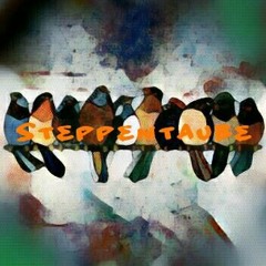 Steppentaube
