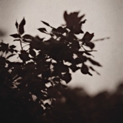 BLACKBEAR - I HOPE UR WHOLE LIFE SUX (BL1THE REMIX)
