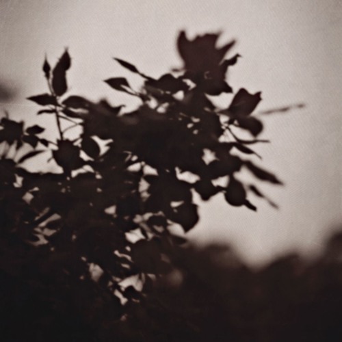 BLACKBEAR - I HOPE UR WHOLE LIFE SUX (BL1THE REMIX)
