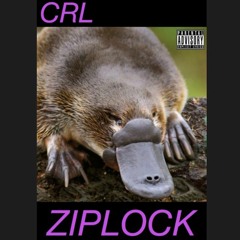 ZIPLOCK (Prod. By Clay Beats)