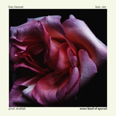 some kind of special (feat. Jay) [prod. draffish]