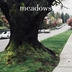 Meadows