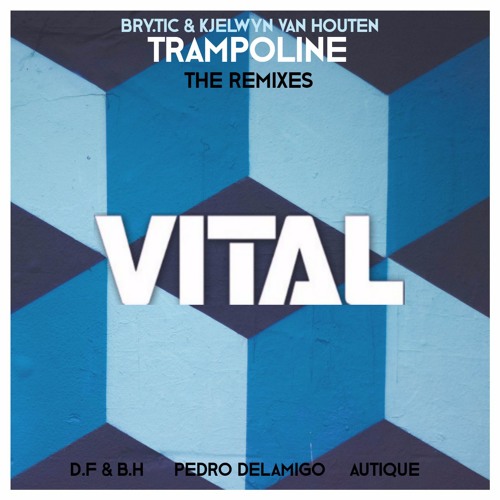 Bry.Tic - Trampoline (feat. Kjelwyn Van Houten)(D.F. & B.H. Remix)[VITAL Release]
