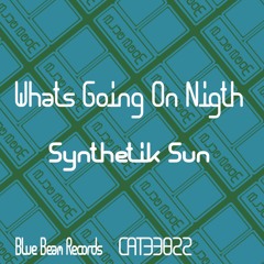Synthetik Sun - Whats Going On Nigth (Original Mix)