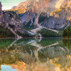 نوارس دمعتي بليلي ونهاري السيد محمد الموسوي