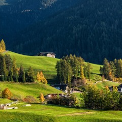 الك شوقي وغرامي السيد محمد الموسوي